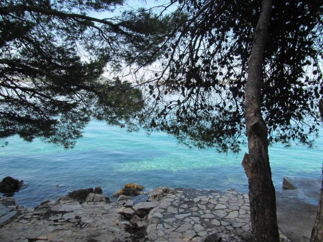 Apartmani Zoran Drage Buitenkant foto